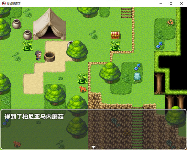 图片[2]-你被驱逐了 官方中文作弊版 PC+安卓 RPG游戏 1.2G-歪次元